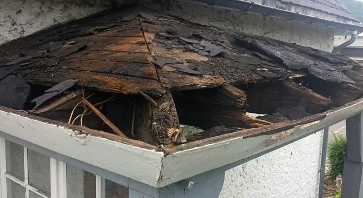 Ignoring Wood Rot