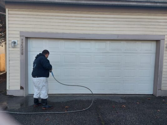 Garage Door Painting