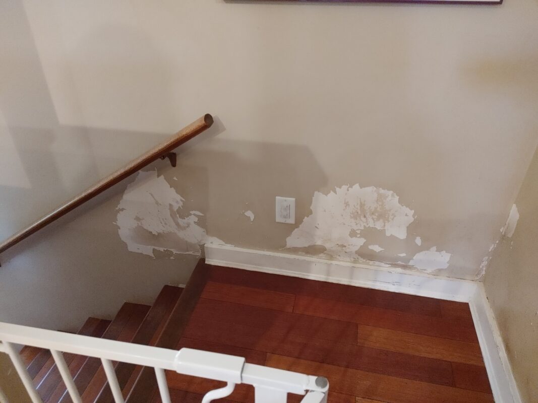 interior paint failure